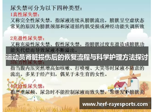 运动员肾脏损伤后的恢复流程与科学护理方法探讨 运动员肾脏损伤后的恢复流程与科学护理方法探讨