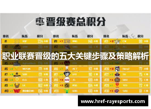 职业联赛晋级的五大关键步骤及策略解析 职业联赛晋级的五大关键步骤及策略解析