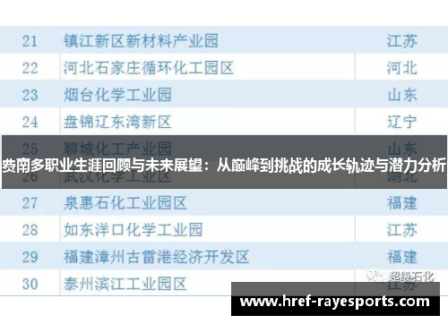 费南多职业生涯回顾与未来展望：从巅峰到挑战的成长轨迹与潜力分析